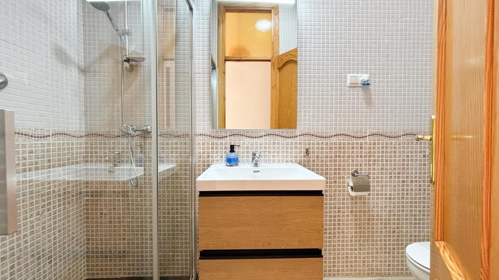 Apartment Plz De La Merced Apartamentos Solera Malaga Spain